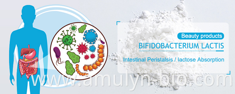 Bifidobacterium lactis powder banner